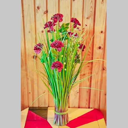 Daire Edelweiss Haus Bellevue Haus D Saalbach-Hinterglemm