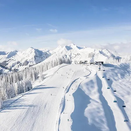 Edelweiss Haus Bellevue Haus D Daire *