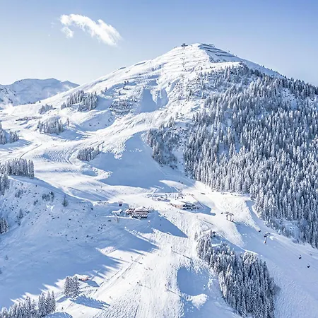 Edelweiss Haus Bellevue Haus D Daire *