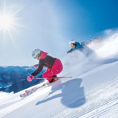 Edelweiss Haus Bellevue Haus D *