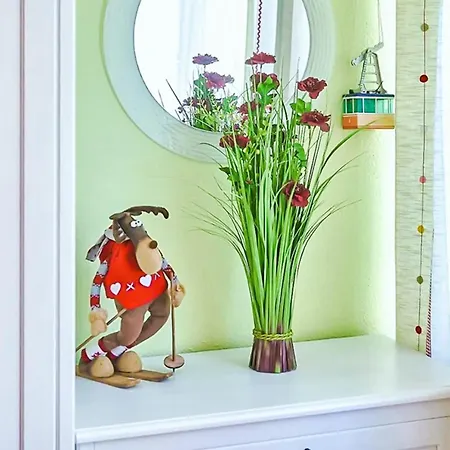 Edelweiss Haus Bellevue Haus D Apartment